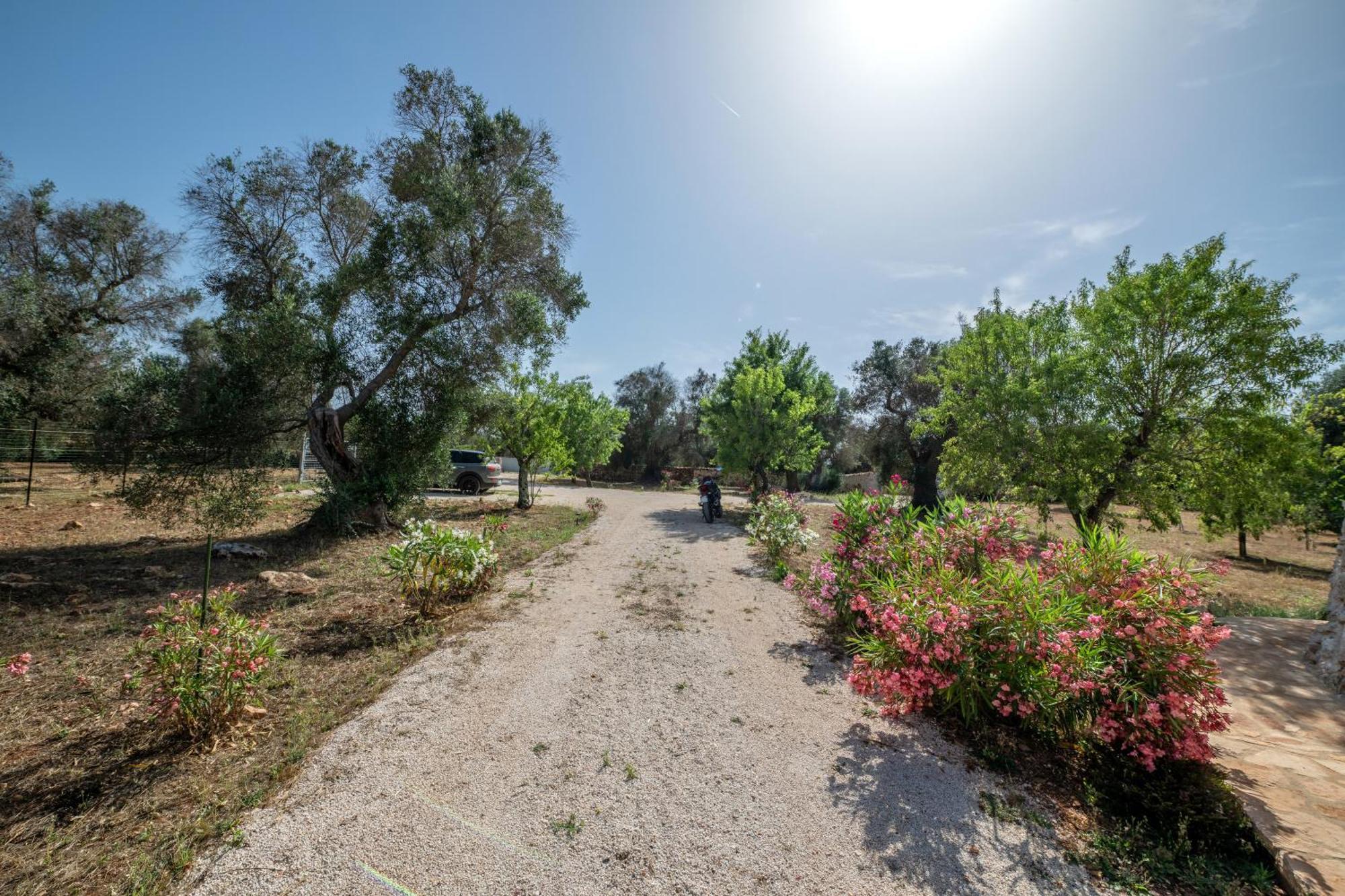 Vila Il Trullo Di Mariangela Ceglie Messapica Exteriér fotografie